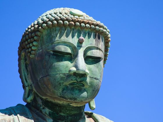 涩涩导航平台的内容分类架构示意图，清晰展示各类成人内容导航的层级关系，配色以玫红与白色为主，整体布局专业规整